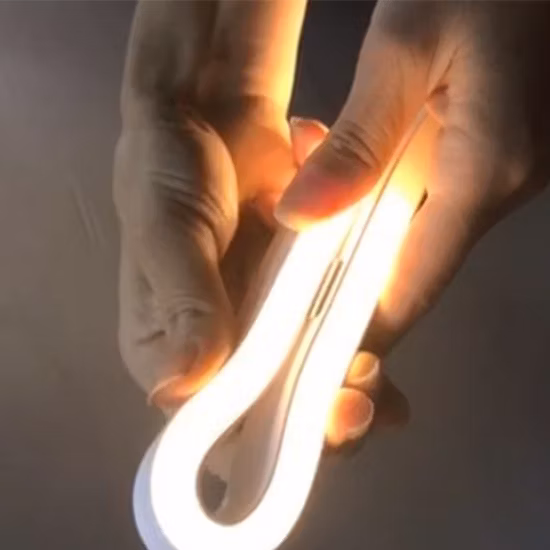 装飾的な照明適用範囲が広いシリコーン ネオン LED ストリップ IP67 CCT RGB RGBW